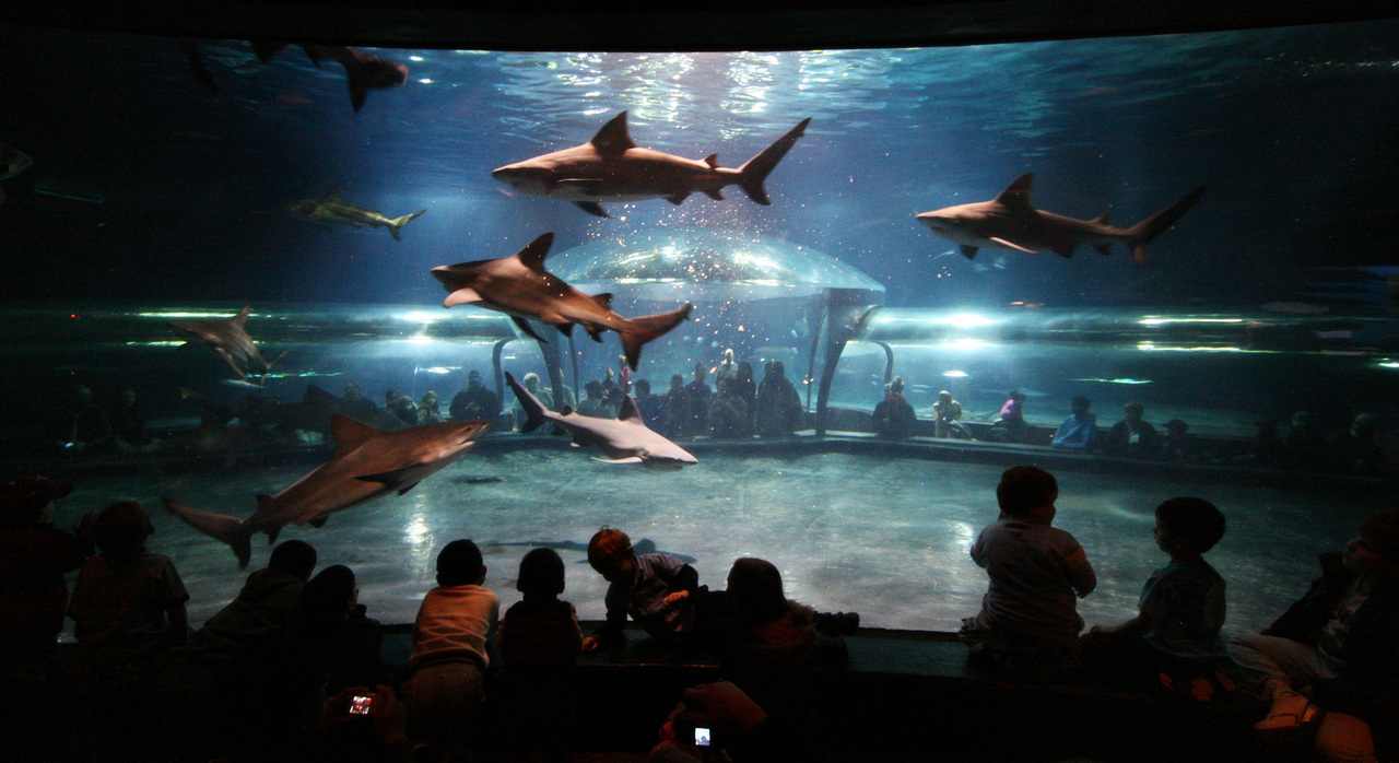 Local Favorites & Things to Do